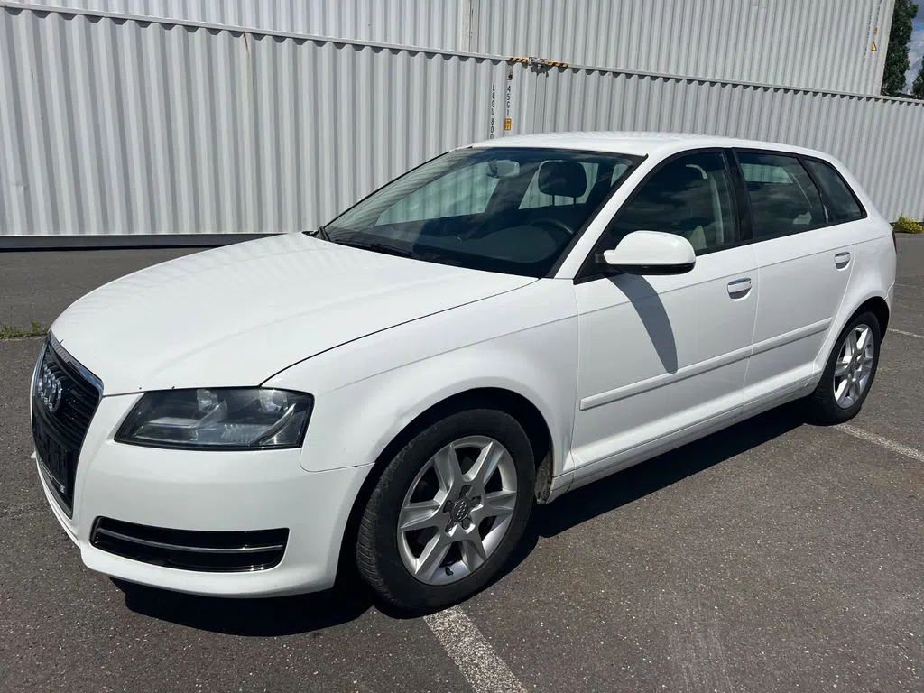 A3 1.6 TDI (DPF) S tronic Getriebe ruckelt