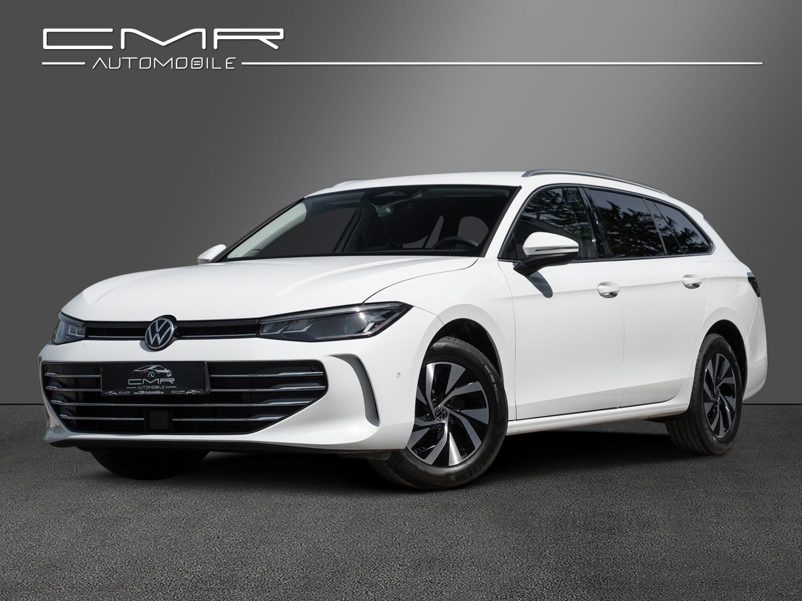 Volkswagen Passat Variant Business Winter-Paket Massage