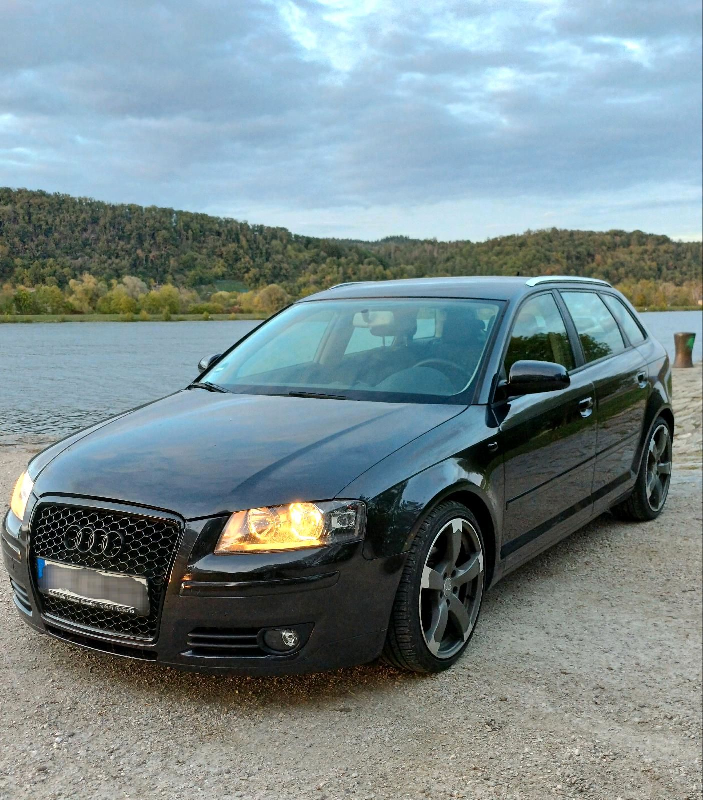 Audi A3 8P Sportback 1.9 Tdi 105 Ps BLS