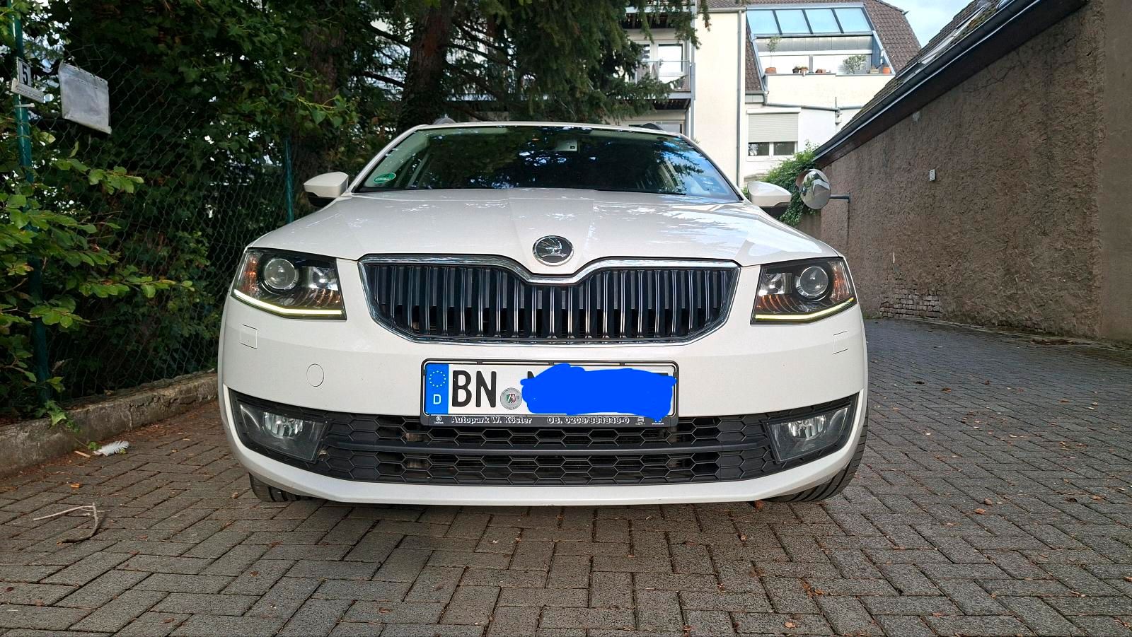 Skoda Octavia 1.6 TDI – 110 PS – zuverlässig und sparsam