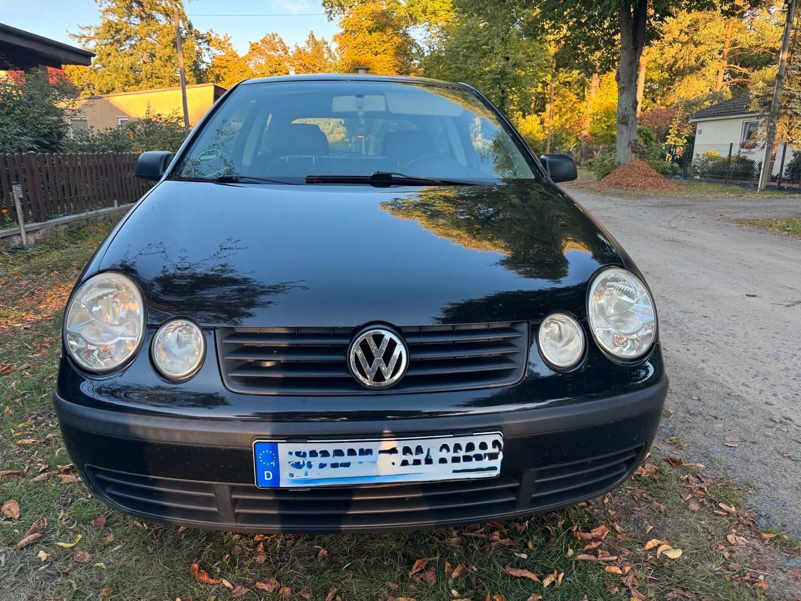 VW Polo 9n