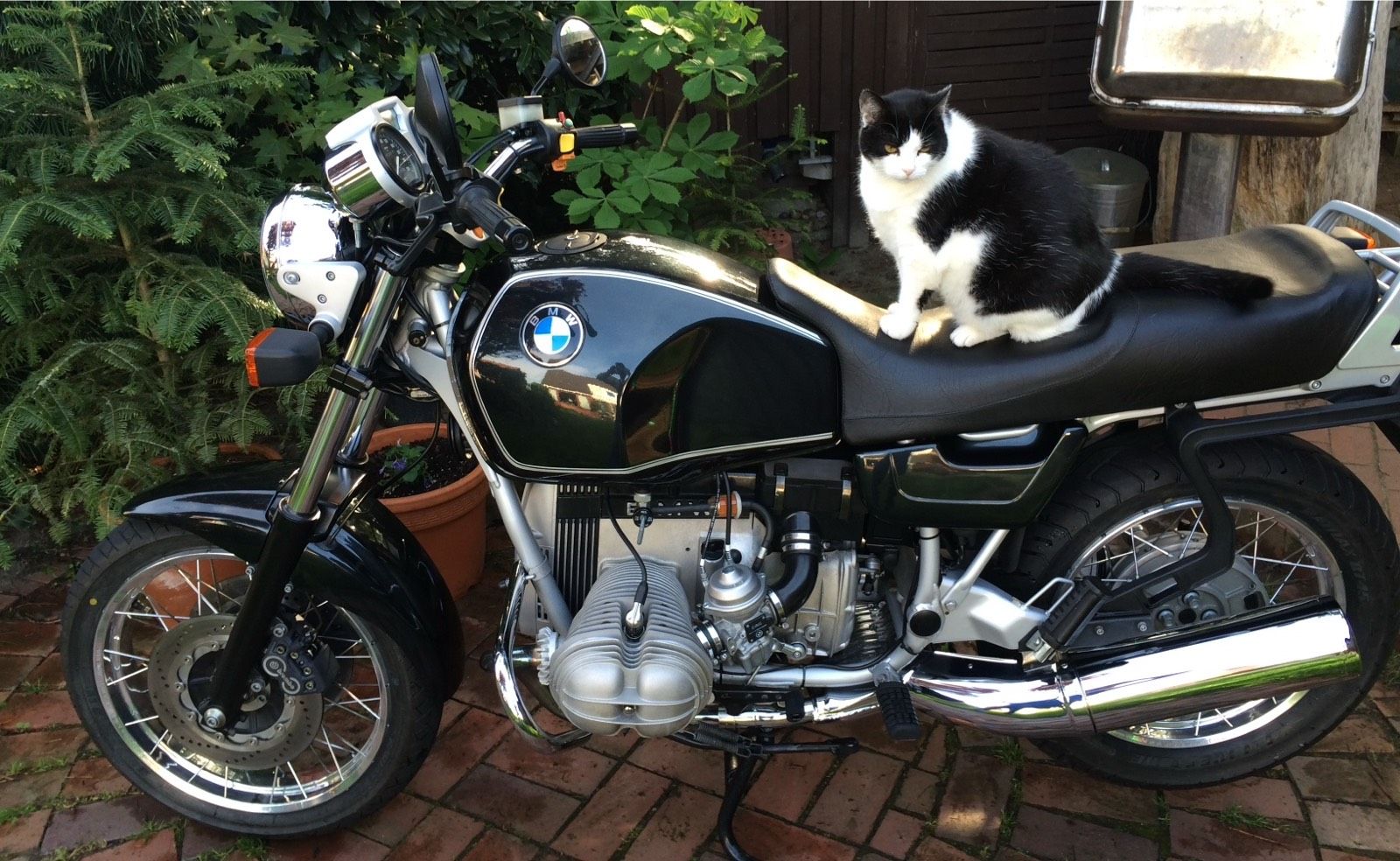 BMW R80R Motorrad