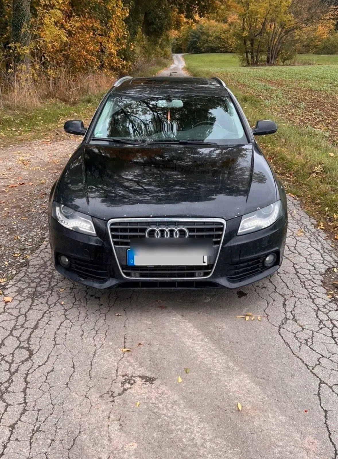 Audi A4 B8 2,7Tdi AHK PANO