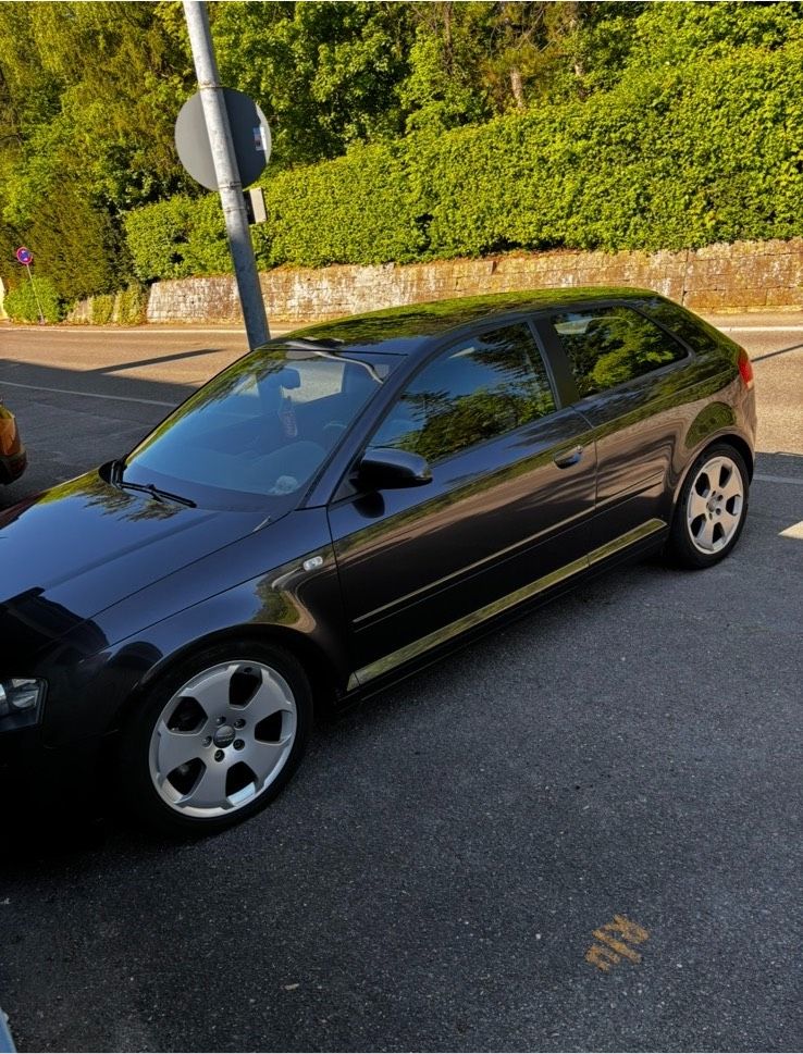 Audi A3 8P Schlachter/Export