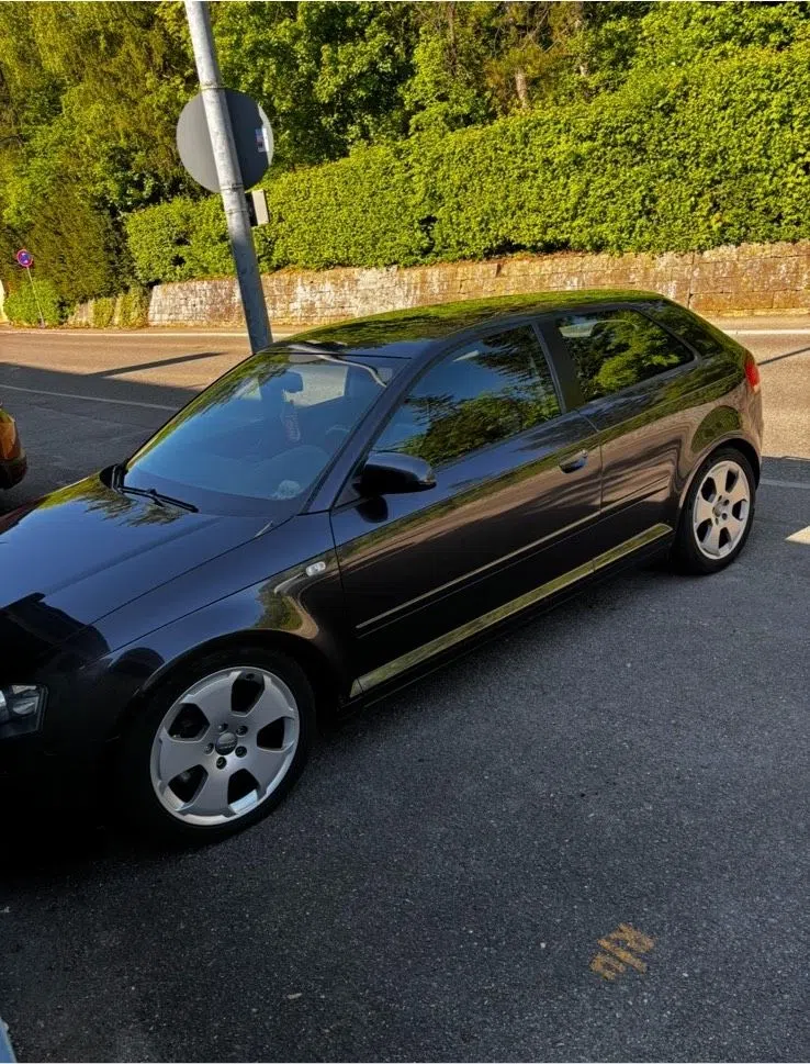 Audi A3 8P Schlachter/Export